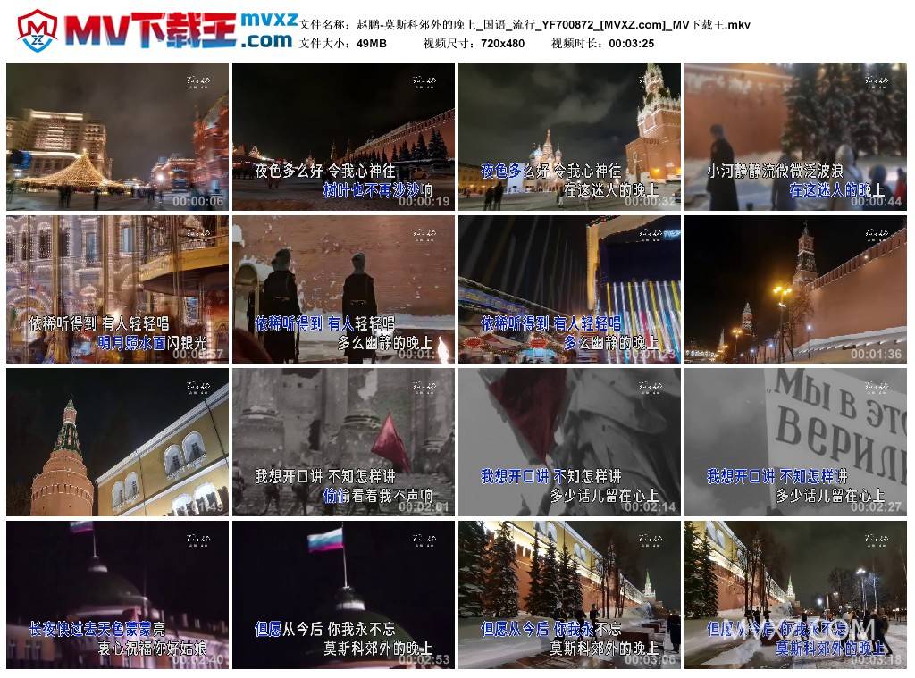 赵鹏-莫斯科郊外的晚上_国语_流行_YF700872